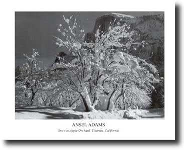 Amazon.com: Ansel Adams Snow Apple Tree B/W Photo Landscape Wall