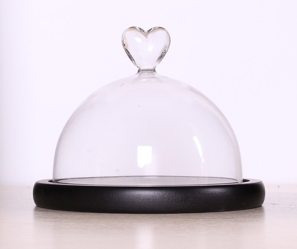 Clear Glass Bell Jar Dome Flower Display Jar Vase Heart-shaped Handle with Black Wooden Base