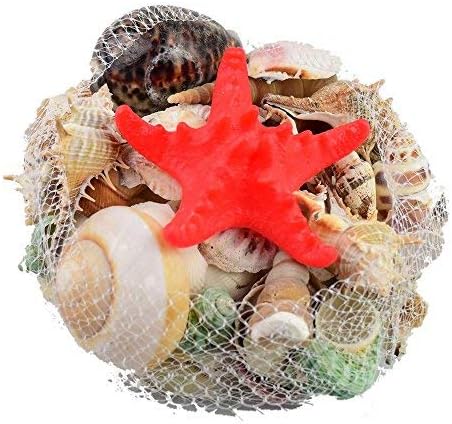 Get Grand decor etoile de mer HD