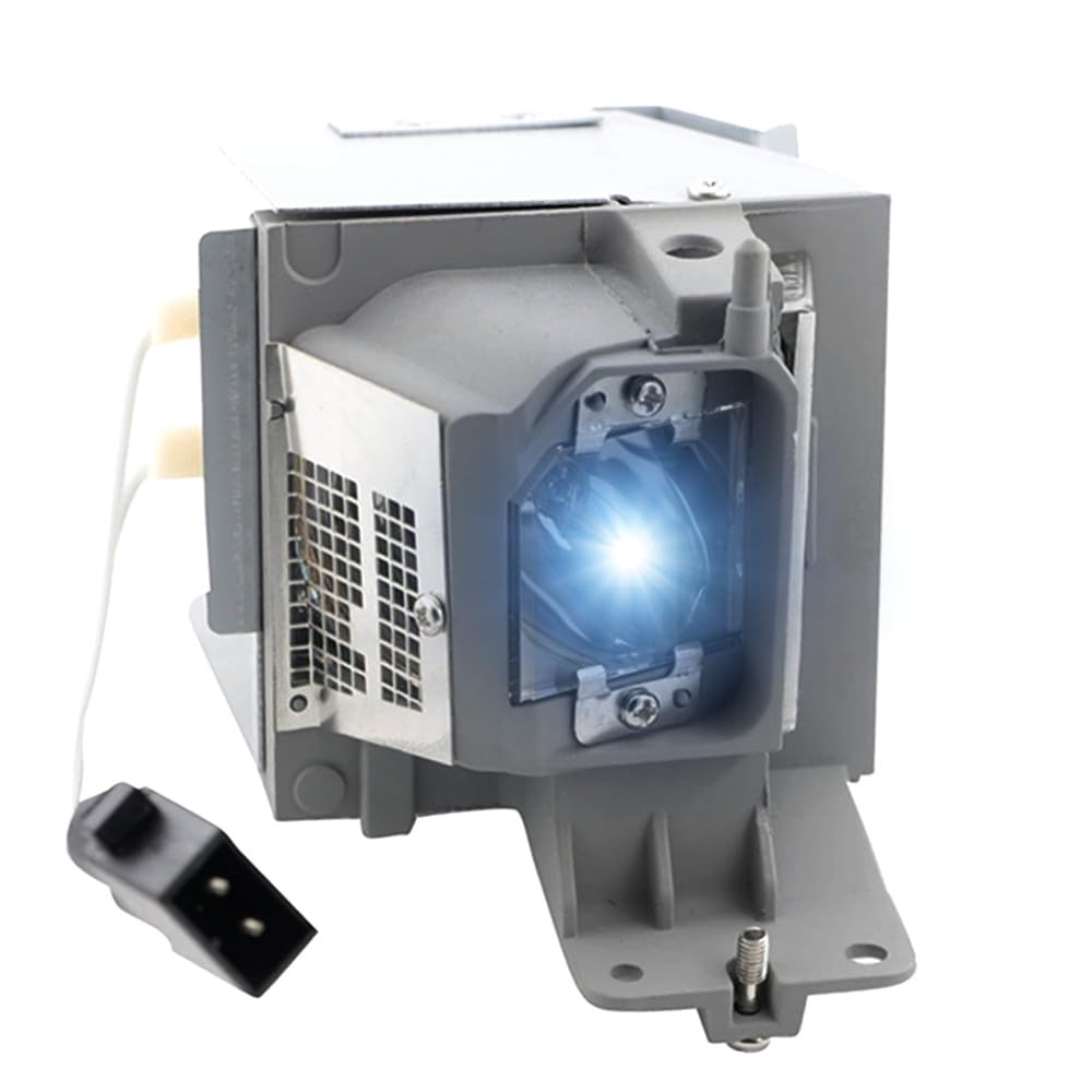 Photo 1 of AOERUOW BL-FU260C / BL-FP260C / NP35LP Replacement Lamp with Housing for OPTOMA DH400,DH401,DU400,EH416,EH416e,W416,WU416,X416,W402,X402 for NEC NP-V302H,NP-V332W,NP-V332X,NP-V332XJD,NP-V332WJD