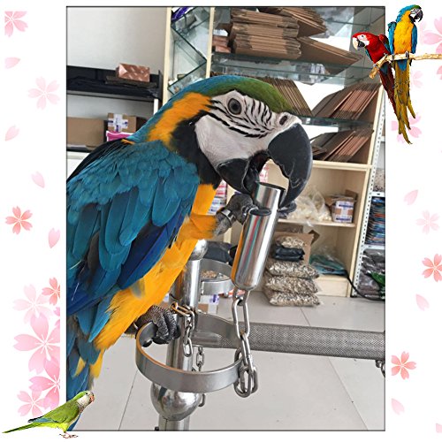 image for AUOON Bird Toys Stainless Steel Hanging Bell Bird Parrot Cage Bite Toy