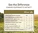 Instinct Raw Boost Grain Free Beef & Lamb Meal Formula Natural Dry Dog Food By Nature'S Variety, 23.5 Lb. Bag