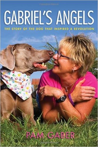 revolution for dogs amazon