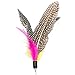 6 Pcs Assorted Feather Cat Interactive Toy,Kany Retractable Wand Rod With 6 Pcs Feather Teaser Cat Catcher - Perfect Teaser for Exercising Kitten and Cat