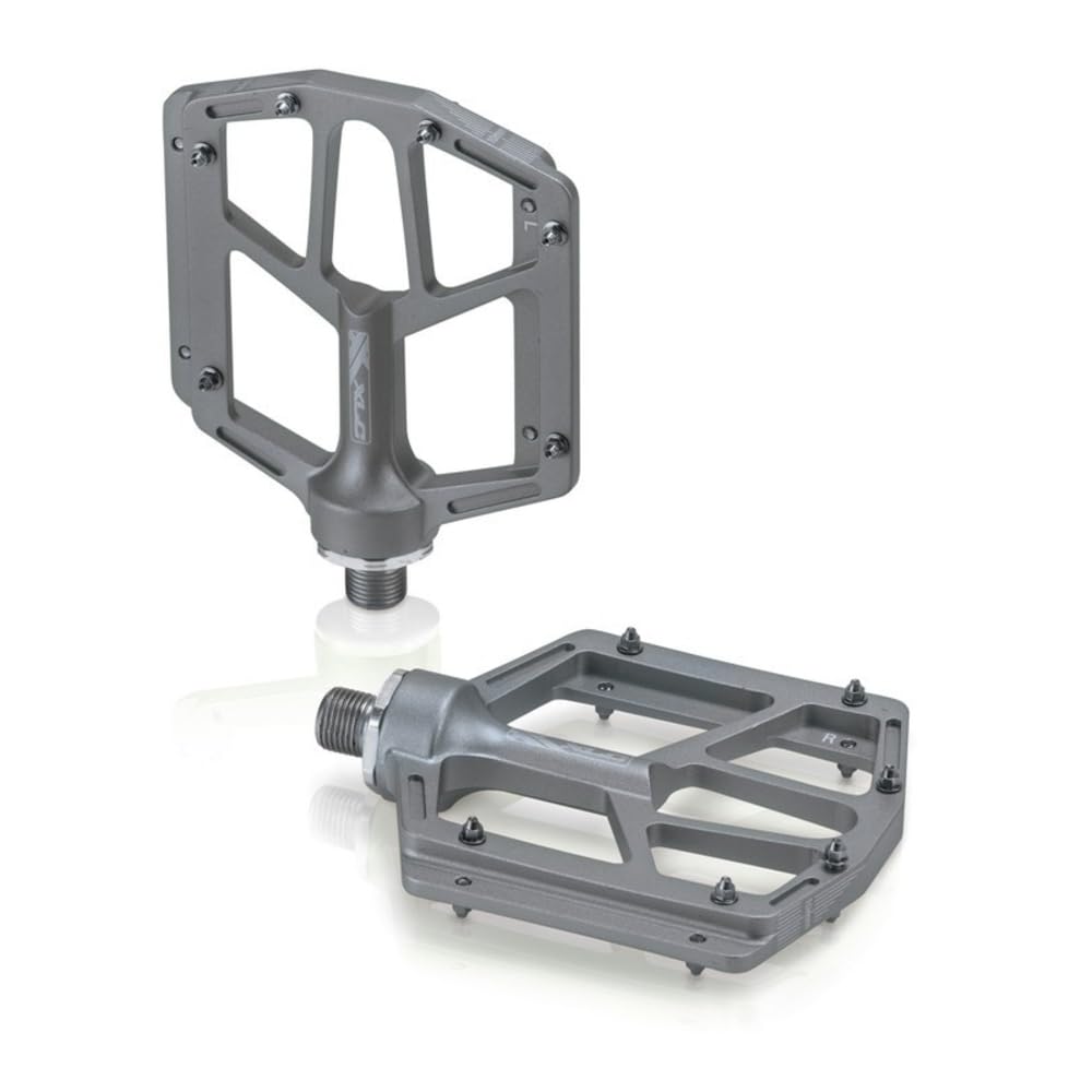 Xlc Pedals MTB ATB, Unisex adult, Pedale MTB ATB, Silver - Silver