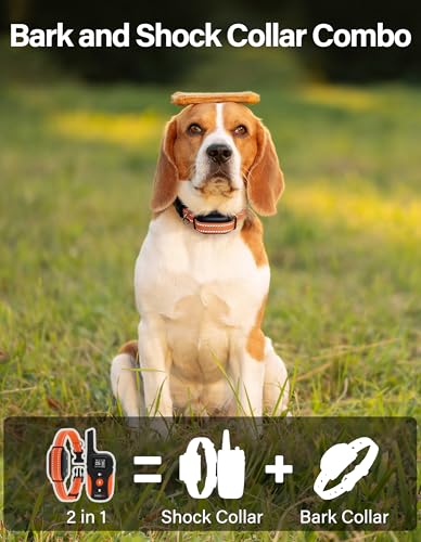 PaiPaitek 2-in-1 Dog Bark Collar & Shock Collar with Remote 3300ft, 4 Modes(Vibration/Beep/Shock/Anti-Bark), IPX7 Waterproof Training Collar for Medium Large Dogs (40-150 lbs) for Indoor & Outdoor Use
