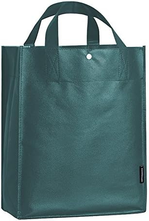 10 Set of Reusable Polypropylene Shopping Grocery Bag with Extra Reinforced Handles,Green