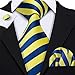 Barry.Wang Plaid Ties Check Mens Necktie Set with Handkerchief Cufflinks Classic Stripe (Yellow Blue)