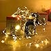 BHCLIGHT LED String Lights Battery Operated Starry Copper Wire Waterproof Décor Rope Lights For Seasonal Decorative Christmas Holiday, Parties,Wedding(50 Leds, 16.5 ft, Warm White)