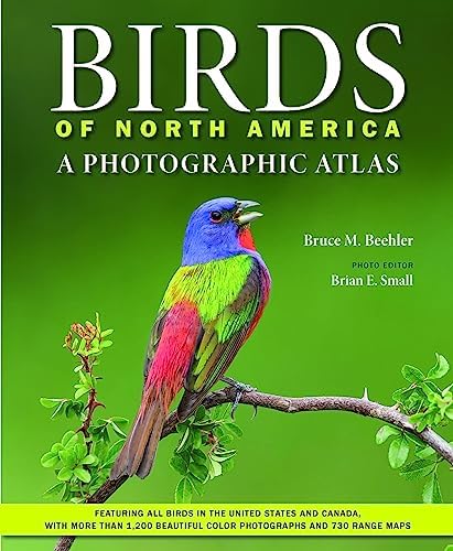 Birds: The Art of Ornithology (Rizzoli Classics): Elphick