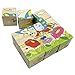 Rolimate Educational Preschool Wild Insect Wooden Cube Block Jigsaw Puzzles - Spider Grasshopper Ladybirds Butterfly Snails Bee, Birthday gift toy for Age 1 2 3 4 5 6 7 Years Old and Up Toddlers Kids
