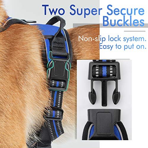 rabbitgoo Dog Harness, NoPull Pet Harness with 2 Leash Clips, Adjustable Soft Padded Dog Vest