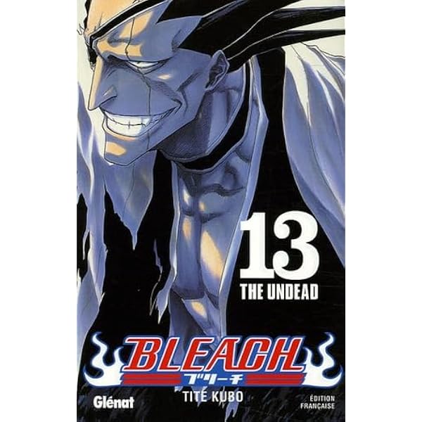 Amazon.com: Bleach - Tome 11: A star and a stray dog