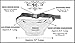 Funny Guy Mugs Wolf Fanny Pack