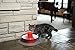 PetSafe Drinkwell Avalon Pet Water Fountain, Ceramic Drinking Fountain for Cats and Dogs, 70 oz. Water Capacity, Red