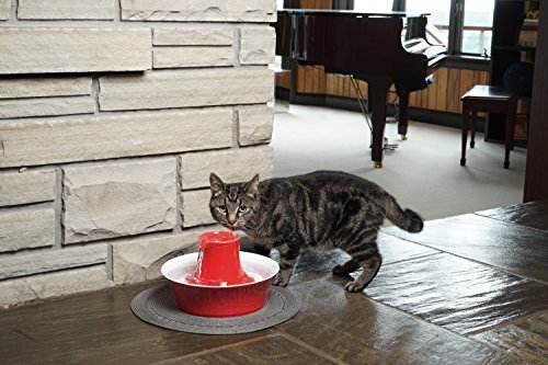 avalon drink fountain