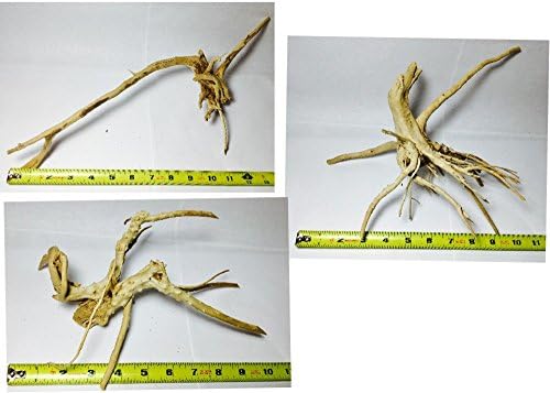 Set of 3 Spider Wood 9-12 Inches Each by Aquarium Plants Galore