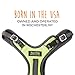 Mighty Paw Sport Harness 2.0 - Padded Canine Accessory - Adjustable Neck and Chest Straps - Enhanced Visibility with Reflective Stitching - Dog Padded Harness with Handle - Large - Green