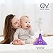 Earth Vibes Aromatherapy Essential Oil Diffuser 300ml - Premium Ultrasonic Aroma Humidifier Bacteria Cleaner - Auto Shut-Off & 7 Color LED Lights - BPA Free - Office Home Bedroom Living Room Study