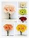 Sweet Home Deco 13’’ Silk Artificial Gerbera Daisy Bouquet (W/ 7stems, 7 Flower Heads), Home/wedding Decorations (Cream)
