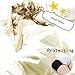 Tansan Women Menstrual Period Briefs Sanitary Leakproof Briefs & Postpartum Easy Clean Bleeding Protective Panties-3 Pack (L, Black)