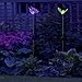 Solar Butterfly and Bumble Bee Holiday Garden Lighting Path Decoration Outdoor Lights Color Changing Patio Lawn Deck Backyard Decor by SolarDuke