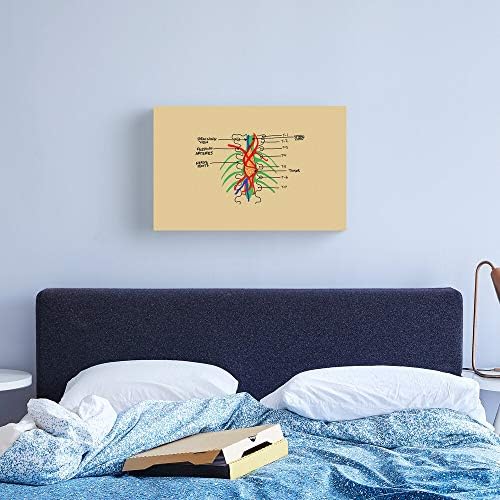 Amazon Com Merder Greys Anatomy Canvas Wall Art Printed Modern To Decoration For Living Room Bedroom Kitchen Office Hotel Dining Room Office Bathroom Bar Etc Posters Prints