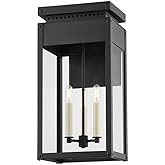 Troy Lighting B8523-TBK Braydan - 3 Light Outdoor Wall Sconce-22.5 Inches Tall and 11.25 Inches Wide