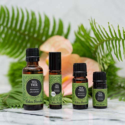 Edens Garden Tea Tree Essential Oil, 100 Pure Therapeutic Grade