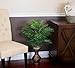 Nearly Natural Areca Palm with Urn Silk Plant