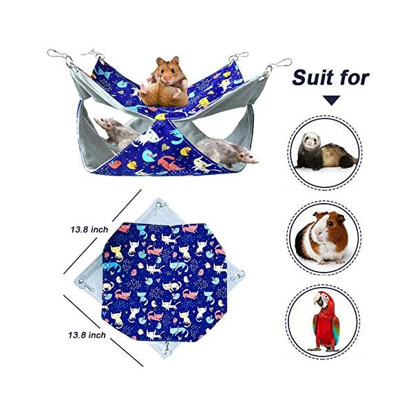 ferret hammock set