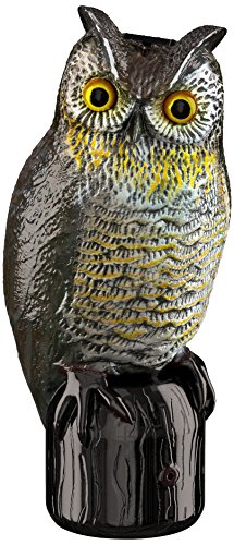 Eliminator Scarecrow Owl Decoy with Scary Lighted Eyes and Frightening Sound – Solar Powered & Motion Activated – Realistic Predator Scares Away and Repels All Birds, Rabbits, Squirrels & other Pests