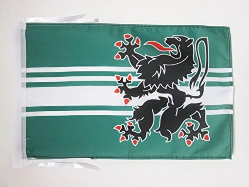 AZ FLAG, Province of East Flanders Flag, 18'' x 12'', 100% Polyester Oost-Vlaanderen Small Banner with Two Cords