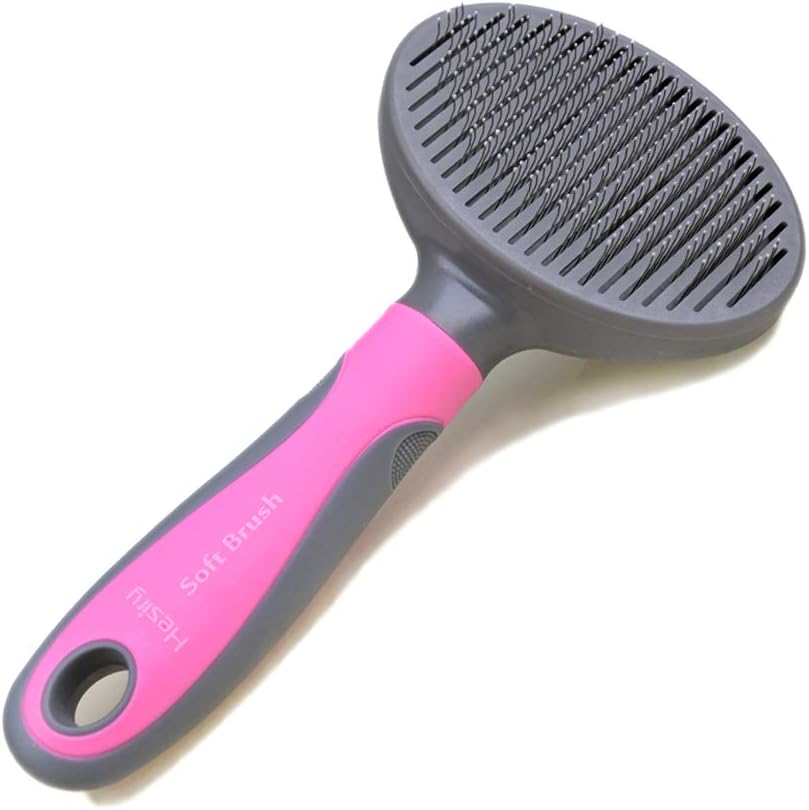 Best Cat Brush for Shedding Cute Litter Box