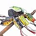 Sougayilang Hollow Frog Fishing Lures Soft Topwater Baits with Tackle Box for Bass Snakehead Saltwater Freshwater Fishing (6Pcs Frog Lure Only)