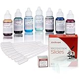 AmScope SK6-72P100S22-PP10 Microscope Stains Vital Stain Kit for Living Cells - 6 Different Microscope Slide Stains, 72 Pre-Cleaned Blank Slides, 100 Coverslips and 10 Pipettes for Specimen Transfer