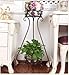 AISHN Metal Plant Stand 2-Tiered Potted，Supports Floor Flower Pot Round Rack Display，Perfect For Home, Garden, Patio, Outdoor Indoor