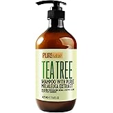 Tea Tree Shampoo - Sulfate Free, Anti Dandruff Deep Cleanse for Oily and Itchy Scalp - Buildup Remover - Professional Oily Hair Salon Formula - Paraben Free Shampoo for Women and Men - 16 Fl Oz