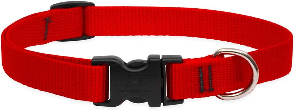 lupine dog collars amazon