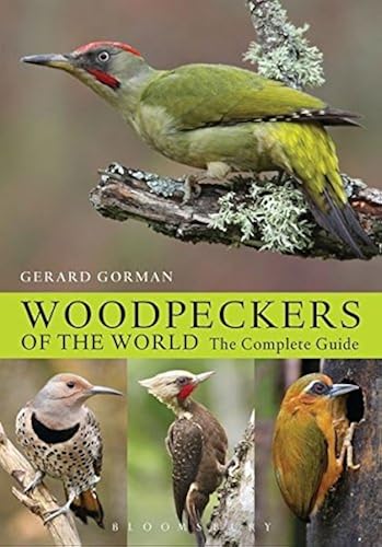 Download Woodpeckers of the World: The Complete Guide PDF