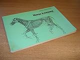 Horse Anatomy: A Pictorial Approach to Equine Structure