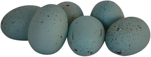 Amazon Com Transpac Robin Egg Blue Faux Decorative Bird Eggs