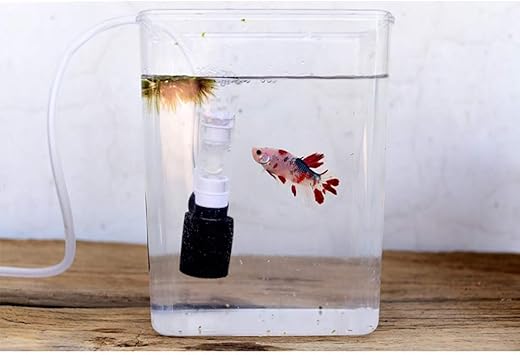 small fish tank pump and filter