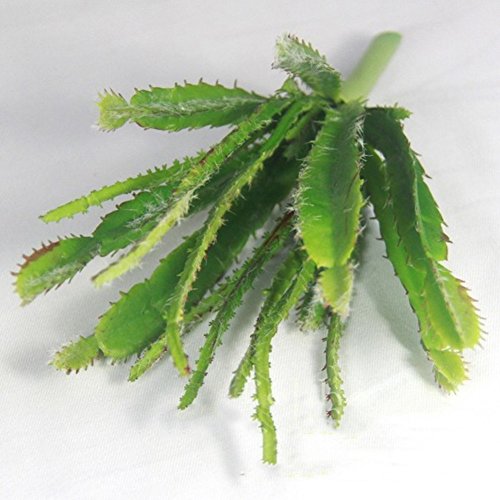 Lopkey Fake Succulent Flora Artificial Cacti Plants set of 2