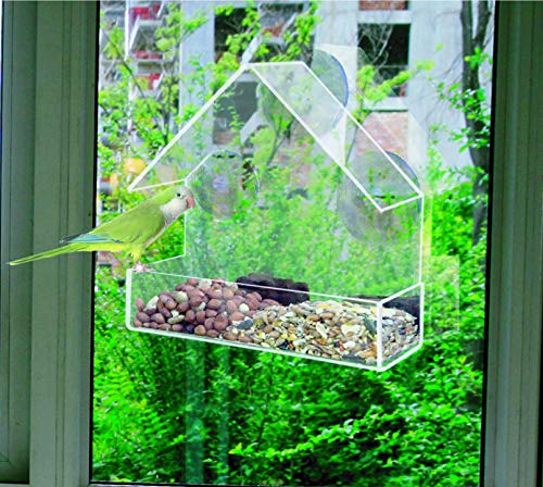 Redwood Leisure Window Bird Feeder Clear Perspex Hanging Bird