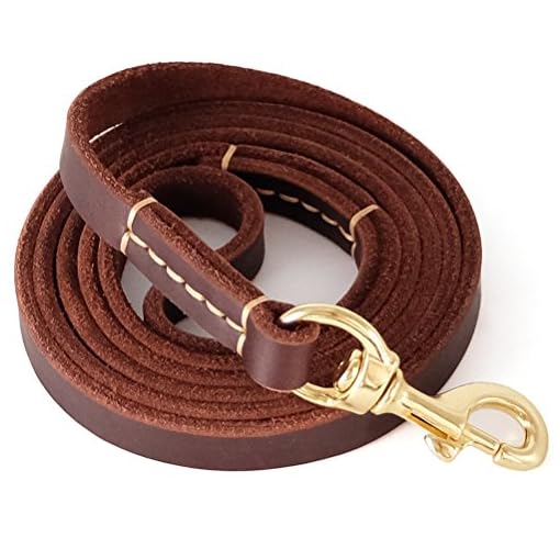 best leather dog leash
