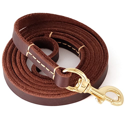 Fairwin Leather Dog Leash 6 Foot - Best Dog Training Leash Heavy Duty for Large Medium Small Dogs (5/8", Brown)