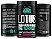 Lotus All Natural Pre Workout Supplement for Men and Women, Natural Flavors and Sweeteners, Vegan, No Caffeine, Hydrate, Pump Enhancer, Improve Performance and Endurance - 30 Servings