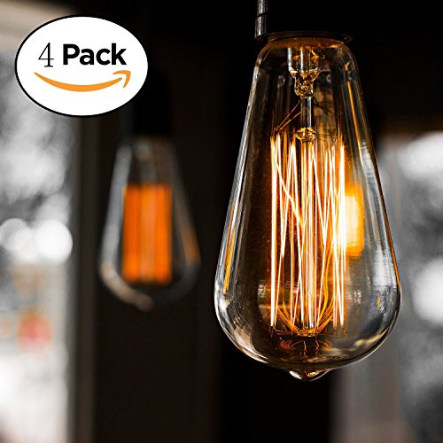 Bravelight Vintage Light Bulbs, Filament Light Bulbs,Edison bulbs ST64 E26 40W Dimmable,Squirrel Cage Filament Edison Lihgt Bulb for Restaurant Home Office Light Fixtures Decorative