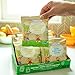 Healthy Times Organic Hugga Bear Snack Pack Cookies for Kids, Vanilla & Honey Graham Variety Pack | For Toddlers, 12 Months and Older | 1 Oz. Bag, 24 Count